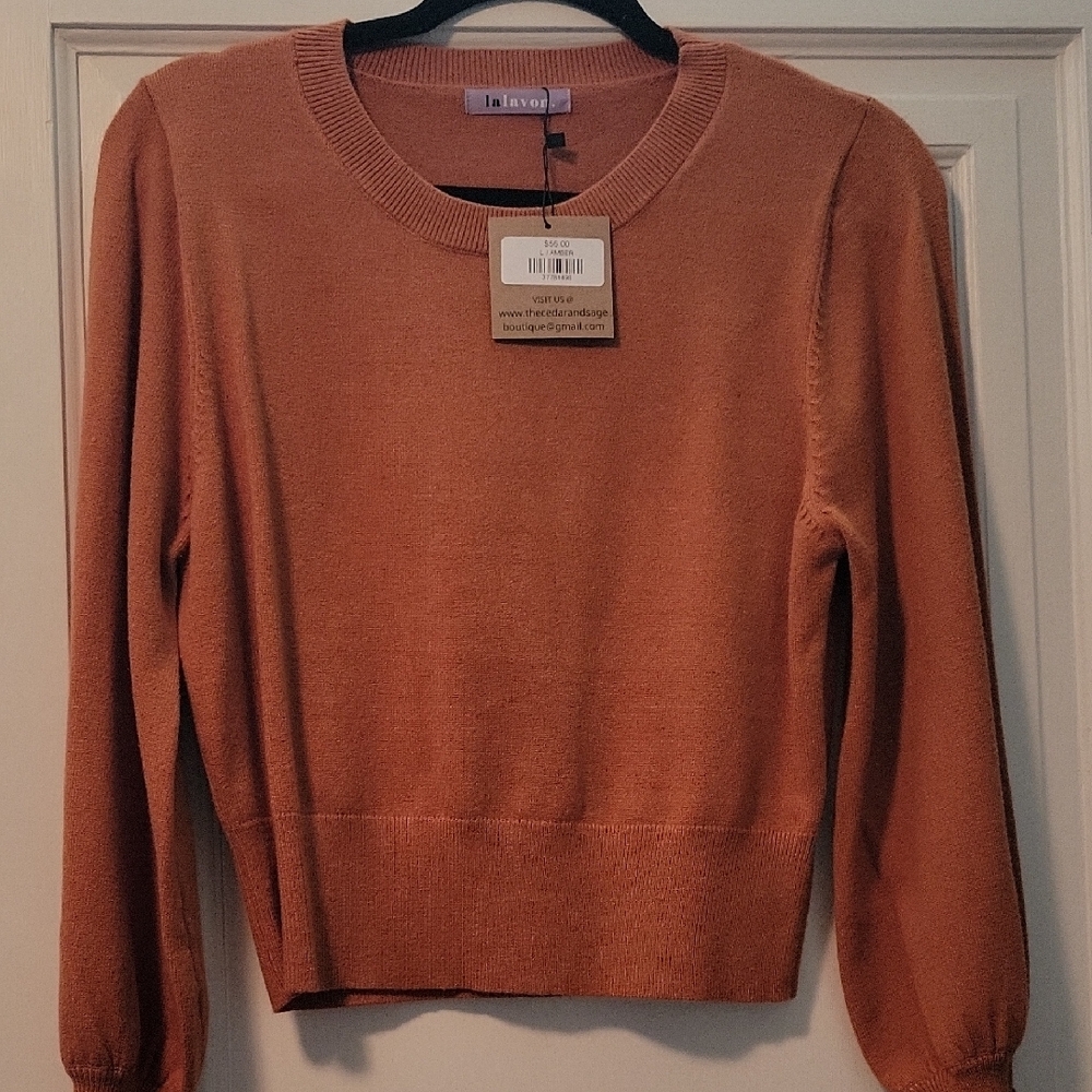 In Ava Women's Rust Crew Neck Sweater